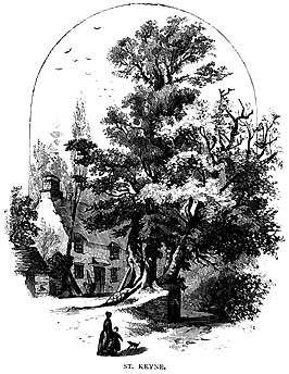 [Illustration: St.  Keyne's Well]